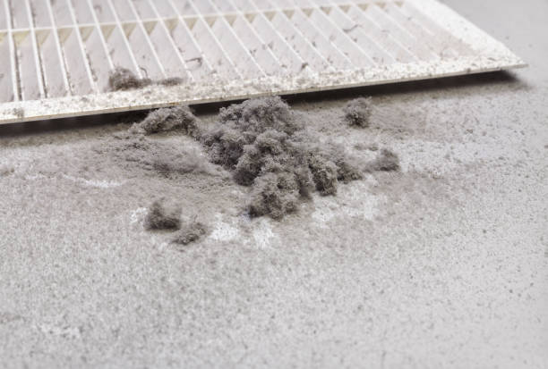 Best Commercial HVAC Duct Cleaning  in Level Plains, AL