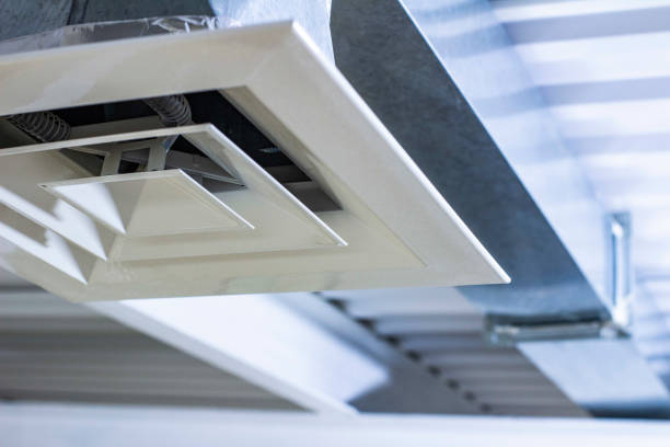 Best HVAC System Cleaning  in Level Plains, AL