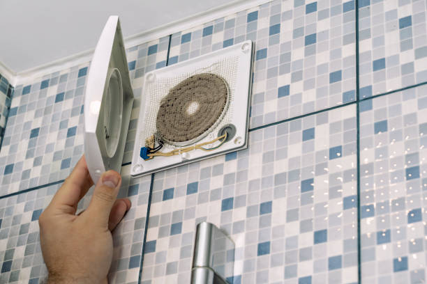 Best Air Duct Cleaning Near Me  in Level Plains, AL