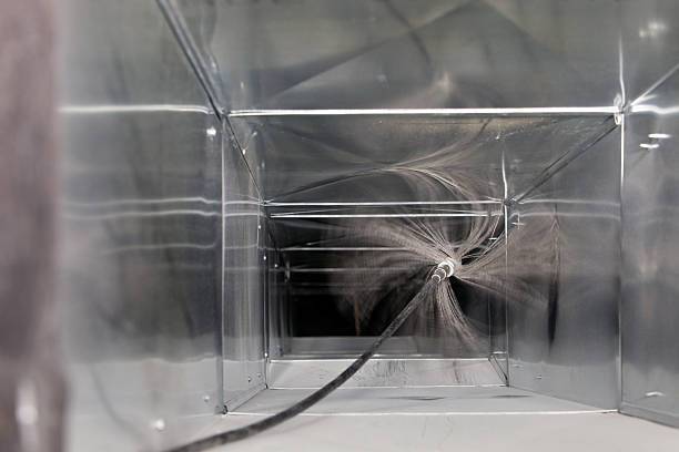 Best Professional Duct Cleaning Services  in Level Plains, AL