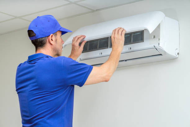 Best Home Air Vent Cleaning  in Level Plains, AL