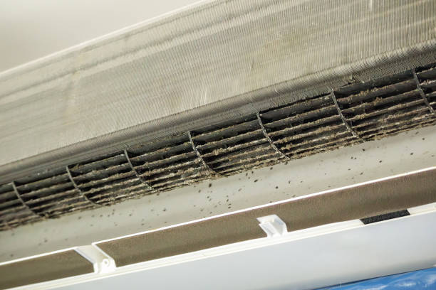 Best Ventilation Cleaning Services  in Level Plains, AL