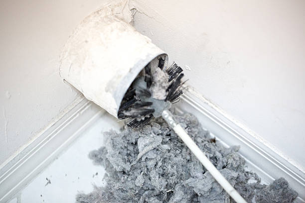 Best Air Duct Cleaning Near Me  in Level Plains, AL